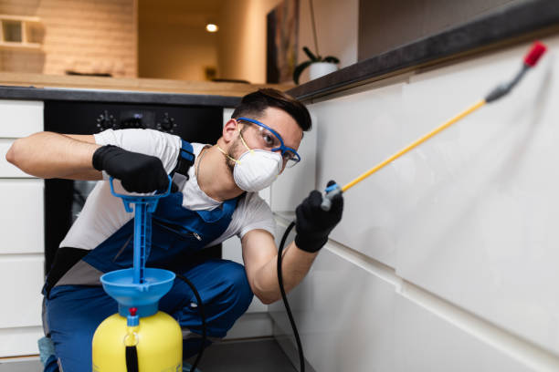  Mountain Home, ID Pest Control Pros