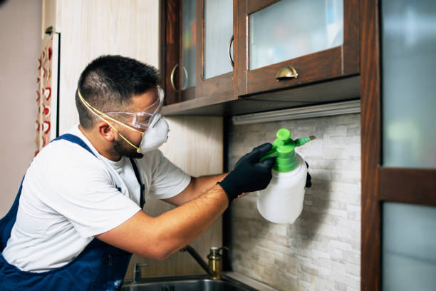 Best Commercial Pest Control Services  in Mountain Home, ID