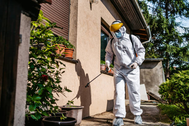 Wasp Removal Services in Mountain Home, ID