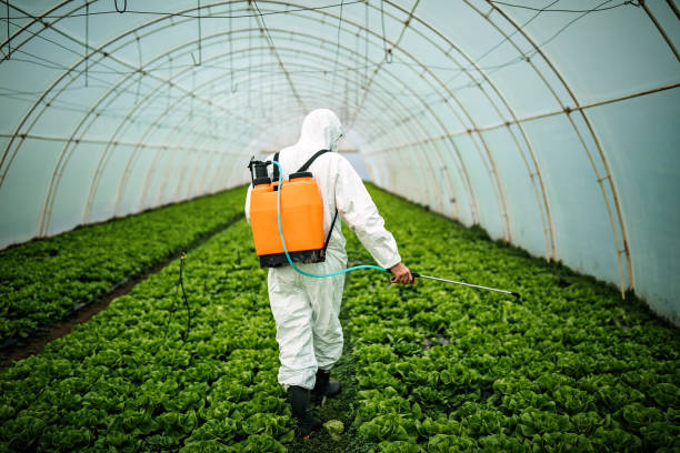 Best Best Pest Control Companies  in Mountain Home, ID