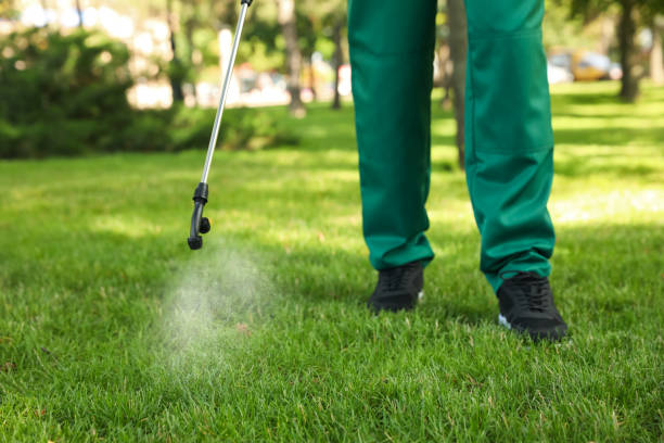 Best Affordable Pest Control Services  in Mountain Home, ID