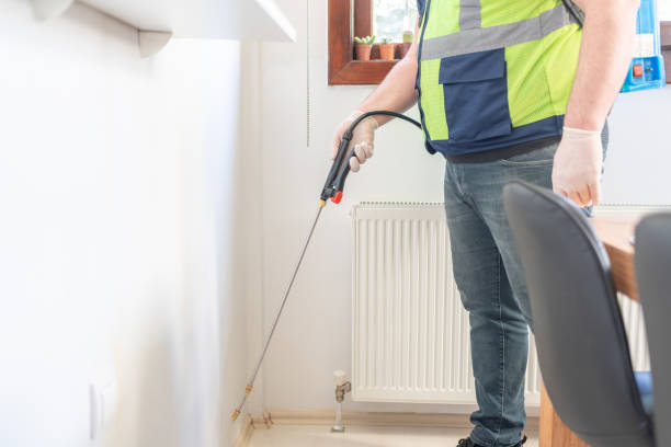 Best Local Pest Control Services  in Mountain Home, ID
