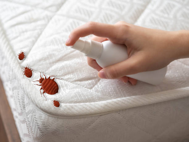 Best Pest Control for Restaurants  in Mountain Home, ID